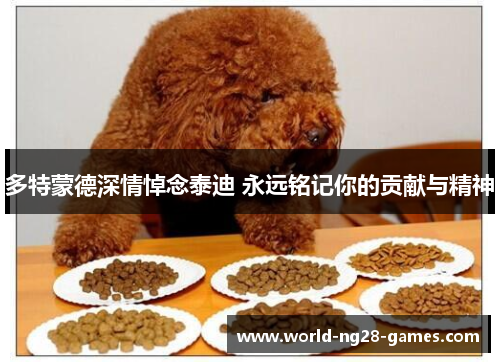 多特蒙德深情悼念泰迪 永远铭记你的贡献与精神 多特蒙德深情悼念泰迪 永远铭记你的贡献与精神